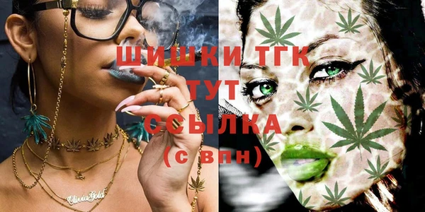 дживик Абаза