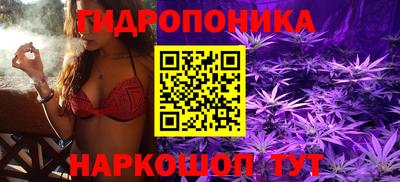 прущие грибы Севастополь