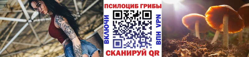 цена   Сызрань  Галлюциногенные грибы мухоморы 