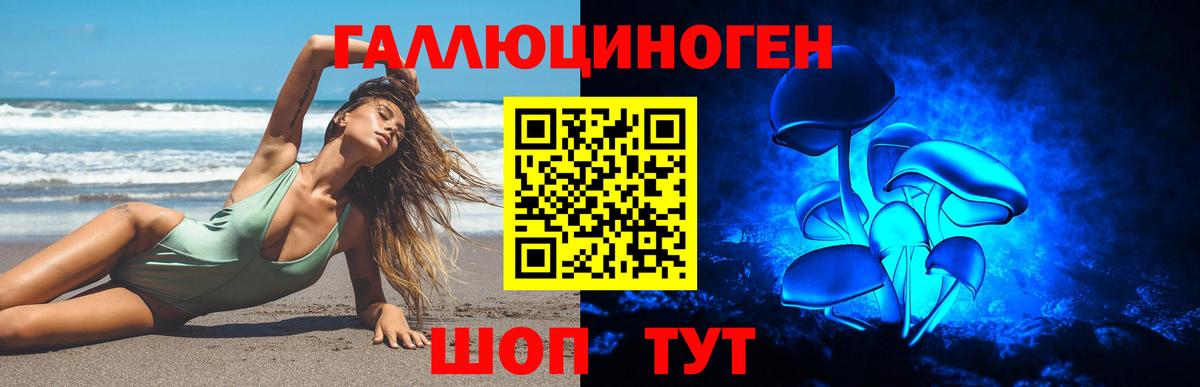 Сызрань  Псилоцибиновые грибы Psilocybine cubensis  Вход с VPN  Псилоцибиновые грибы GOLDEN TEACHER 